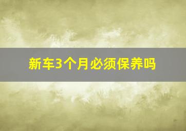 新车3个月必须保养吗