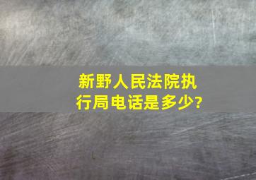 新野人民法院执行局电话是多少?