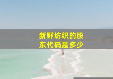 新野纺织的股东代码是多少(