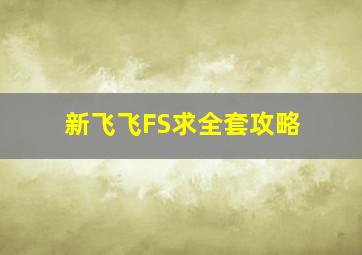 新飞飞FS求全套攻略