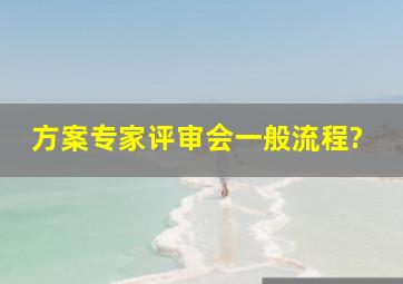 方案专家评审会一般流程?