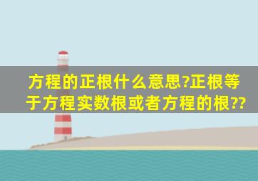 方程的正根什么意思?正根等于方程实数根或者方程的根??