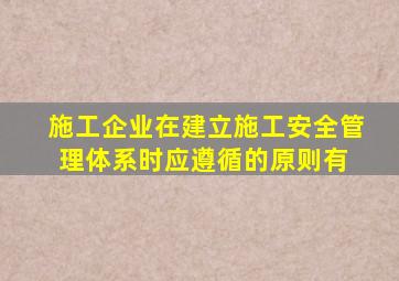 施工企业在建立施工安全管理体系时,应遵循的原则有()。 