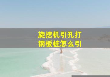 旋挖机引孔打钢板桩怎么引