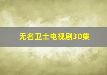 无名卫士电视剧30集