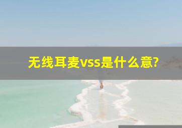 无线耳麦vss是什么意?