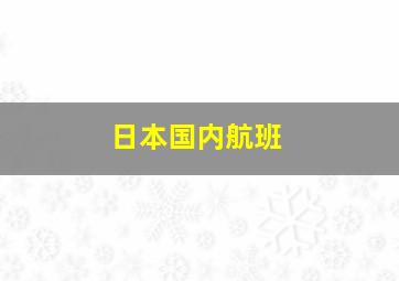 日本国内航班