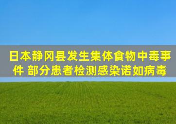 日本静冈县发生集体食物中毒事件 部分患者检测感染诺如病毒