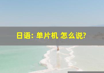 日语: 单片机 怎么说?