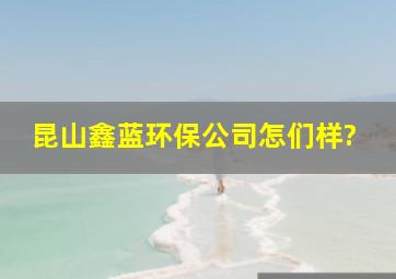 昆山鑫蓝环保公司怎们样?