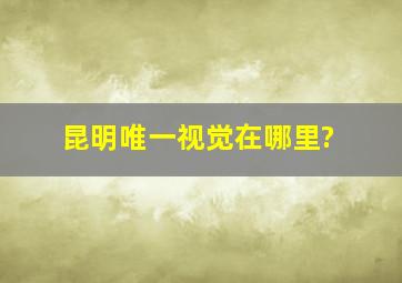 昆明唯一视觉在哪里?