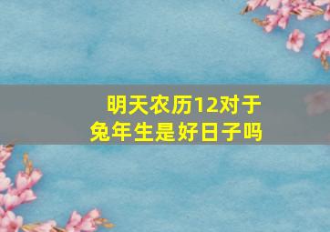 明天农历12对于兔年生是好日子吗