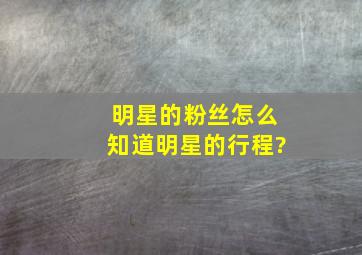 明星的粉丝怎么知道明星的行程?