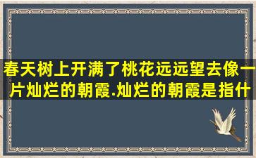 春天,树上开满了桃花,远远望去,像一片灿烂的朝霞.灿烂的朝霞是指什么