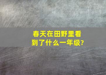 春天在田野里看到了什么一年级?