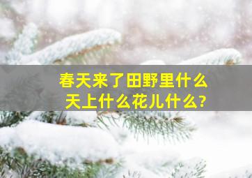 春天来了,田野里什么,天上什么,花儿什么?