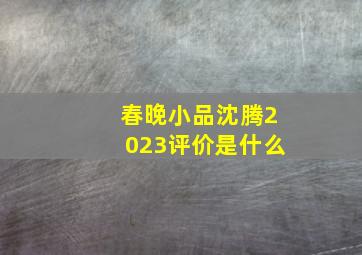 春晚小品沈腾2023评价是什么