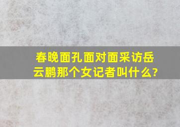 春晚面孔面对面采访岳云鹏那个女记者叫什么?