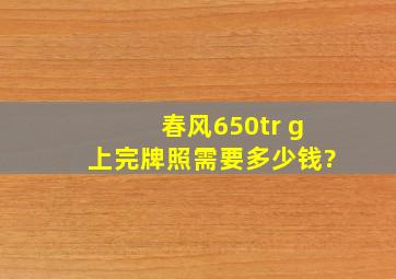 春风650tr g上完牌照需要多少钱?