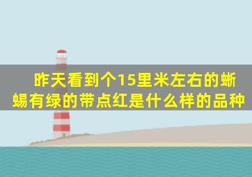 昨天看到个15里米左右的蜥蜴有绿的带点红是什么样的品种