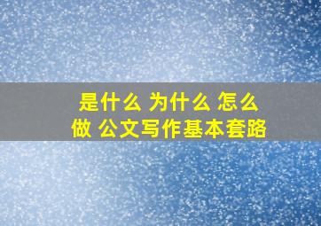 是什么 为什么 怎么做 公文写作基本套路