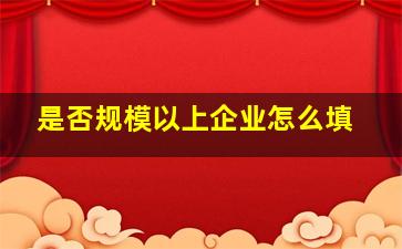 是否规模以上企业怎么填