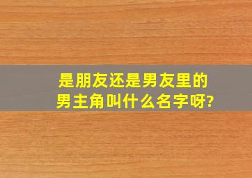 是朋友还是男友里的男主角叫什么名字呀?