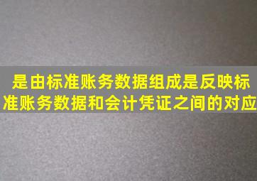 是由标准账务数据组成;是反映标准账务数据和会计凭证之间的对应