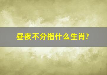 昼夜不分指什么生肖?