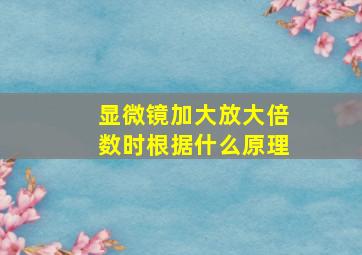 显微镜加大放大倍数时根据什么原理