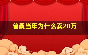 普桑当年为什么卖20万(