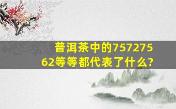 普洱茶中的7572、7562等等都代表了什么?