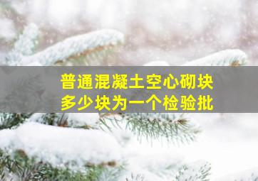 普通混凝土空心砌块多少块为一个检验批