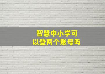 智慧中小学可以登两个账号吗