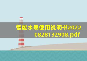 智能水表使用说明书20220828132908.pdf