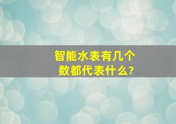 智能水表有几个数都代表什么?