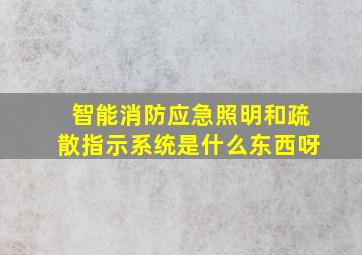 智能消防应急照明和疏散指示系统是什么东西呀(