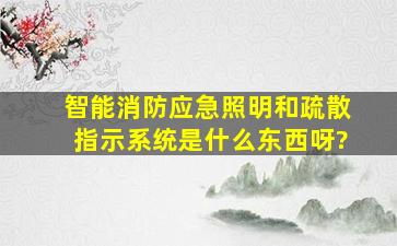 智能消防应急照明和疏散指示系统是什么东西呀?