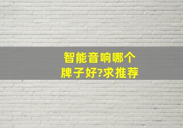 智能音响哪个牌子好?求推荐