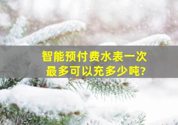 智能预付费水表一次最多可以充多少吨?