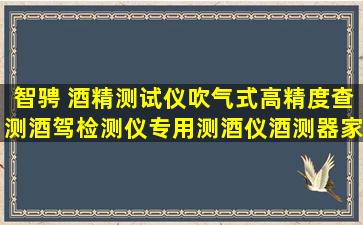 智骋 酒精测试仪吹气式高精度查测酒驾检测仪专用测酒仪酒测器家用...