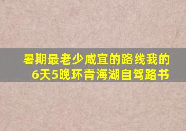 暑期最老少咸宜的路线,我的6天5晚环青海湖自驾路书