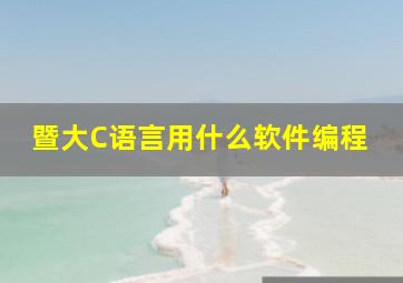 暨大C语言用什么软件编程