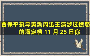 曹保平执导,黄渤、周迅主演《涉过愤怒的海》定档 11 月 25 日,你...