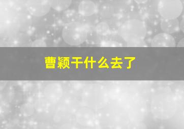 曹颖干什么去了