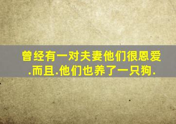 曾经有一对夫妻,他们很恩爱.而且.他们也养了一只狗.