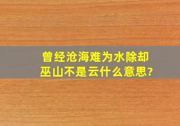 曾经沧海难为水,除却巫山不是云什么意思?