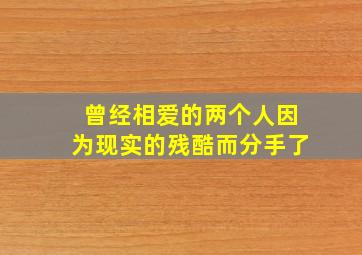 曾经相爱的两个人因为现实的残酷而分手了