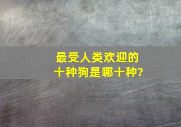 最受人类欢迎的十种狗是哪十种?