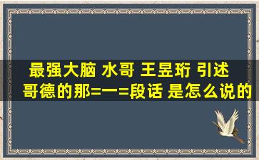 最强大脑 水哥 王昱珩 引述 哥德的那=一=段话 是怎么说的? 不如思考 ...